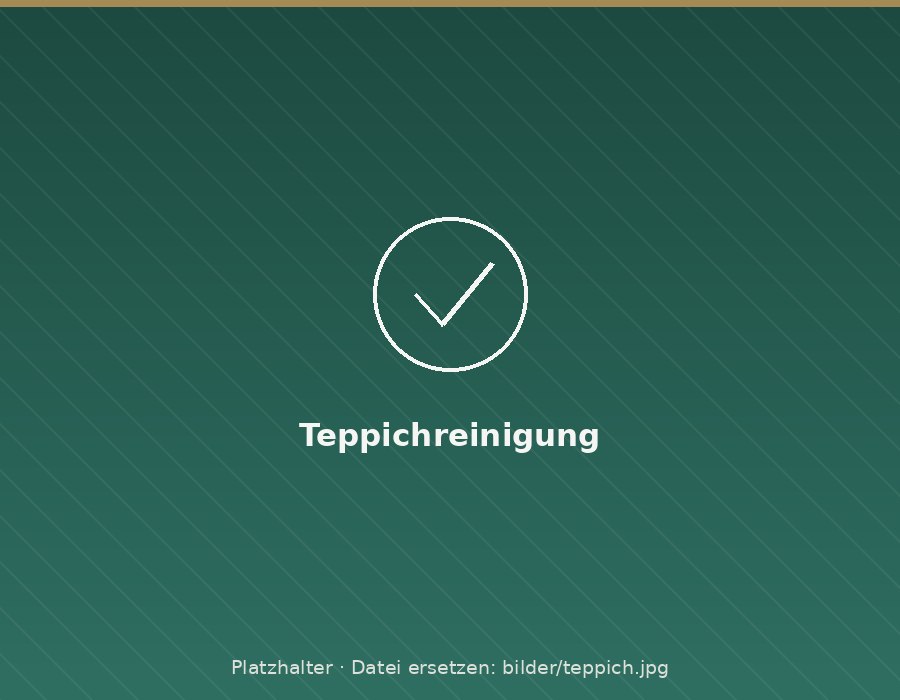 Teppichreinigung Augsburg